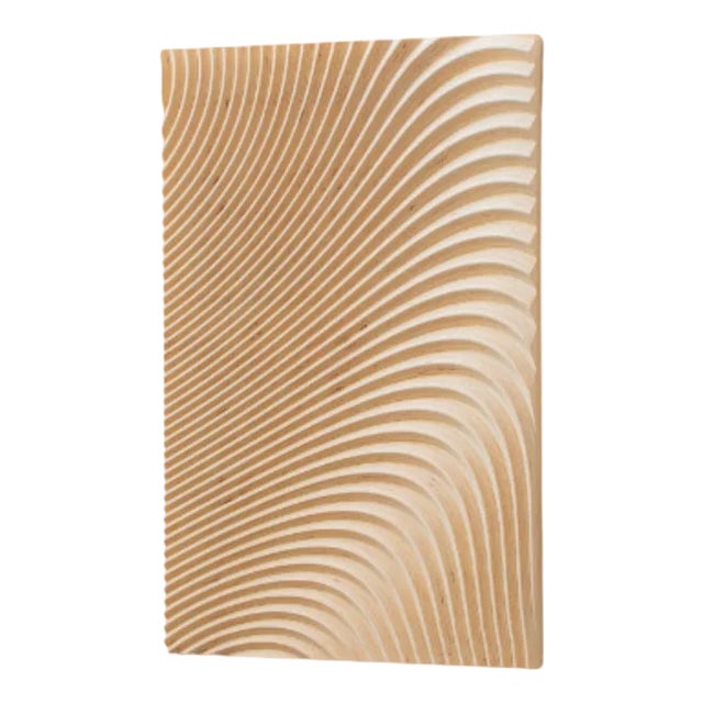 Wave Wall Sculpture by Arno Hoogland For Sale