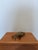 1960s Mid-Century Bronze Crab Sculpture With Hinged Top, Brazil 1960s For Sale - Image 5 of 15