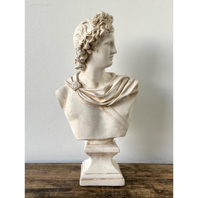 Mid 20th Century Ceramic Apollo Belvedere Bust Sculpture For Sale - Image 5 of 18