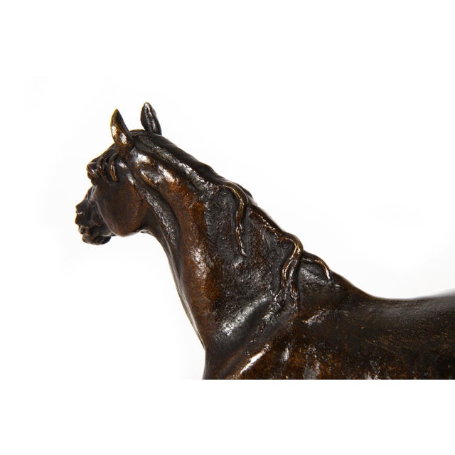French Antique Bronze Sculpture of Ibrahim, Arabian Stallion by Pierre Jules Mene For Sale - Image 13 of 16