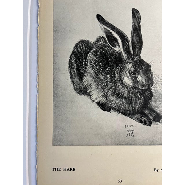 Absolutely marvelous book illustration by Albrecht Durer of The Hare. On soft ivory toned paper. Beautiful image comes...