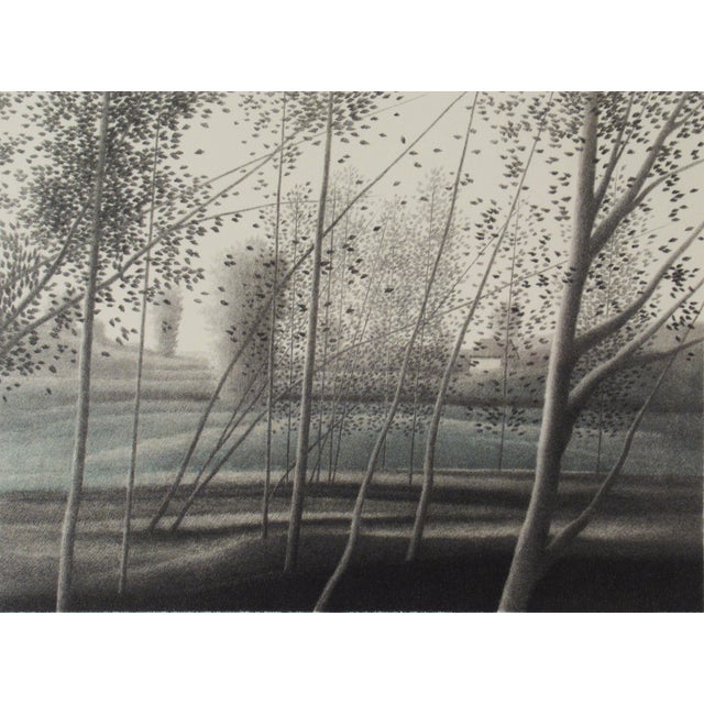 Contemporary Robert Kipniss, Landscape, Circa 1980 For Sale - Image 3 of 10