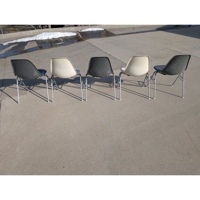 1960s Set of Eames for Herman Miller Fiberglass Shell DSS Chairs For Sale - Image 6 of 18