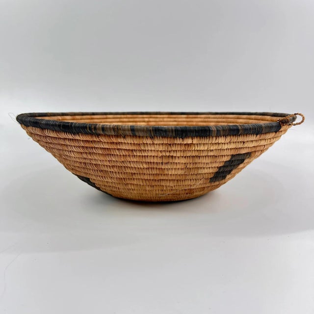 Early 20th Century Early 20th Century Botswana Basket 15inch MATTER COLLECTION For Sale - Image 5 of 8