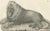 Barbary Lion, 1836, Lithograph For Sale - Image 4 of 10