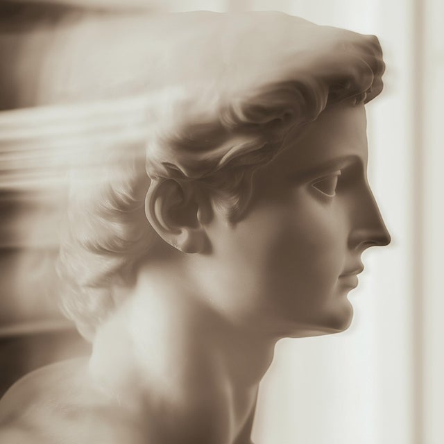 Set of 18 Blurred Antique Profiles — Archival Prints of Restored Antique Photographs For Sale - Image 10 of 17