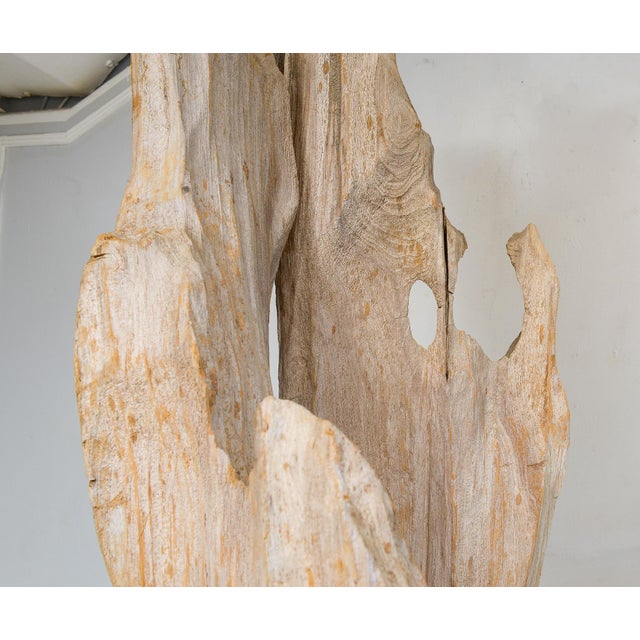 Wood Sculptural Bespoke Driftwood Floor Lamp For Sale - Image 7 of 8