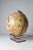 Danish Illuminated World Globe Table Lamp by Scan-Globe A/S, 1990 For Sale - Image 4 of 12