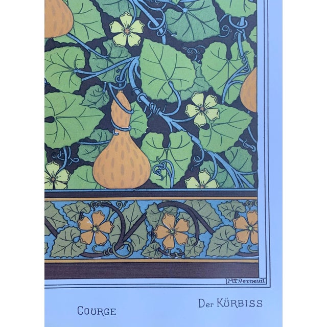 Art Deco Botanic Illustration Art Deco Art Nouveau Gourd Vine Plant For Sale - Image 3 of 4