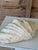 Organic Modern Coastal Clam Shell Vessel For Sale - Image 9 of 12