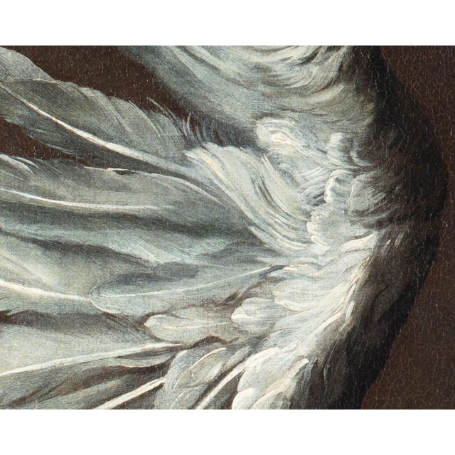 Jean-Baptiste Oudry, White Duck, 1800s, Oil on Canvas, Framed For Sale - Image 5 of 13