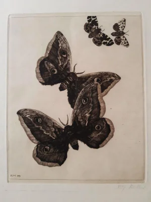 Vier Schmetterlinge - Original Etching by Richard Muller - 1899 1899