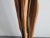 Mid-Century French Floor Lamp in Driftwood & Mahogany, 1950s For Sale - Image 4 of 13
