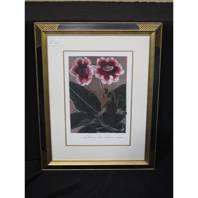 2010s Framed Floral Print in Neoclassical Frame by W. King Ambler For Sale - Image 5 of 5