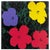 Sunday B. Morning after Andy Warhol, Flowers 11.73, Silkscreen Print For Sale