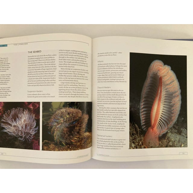 The Blue Planet a Natural History of the Oceans Hardcover Book For Sale - Image 11 of 13