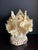 Vintage South Pacific Cowrie Shell Vase For Sale - Image 4 of 12