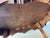 Antique Carved Walnut Accent Table / Side End Table. Featuring Wavy, Marquetry Inlaid Top and Cabroile Legs For Sale - Image 9 of 9