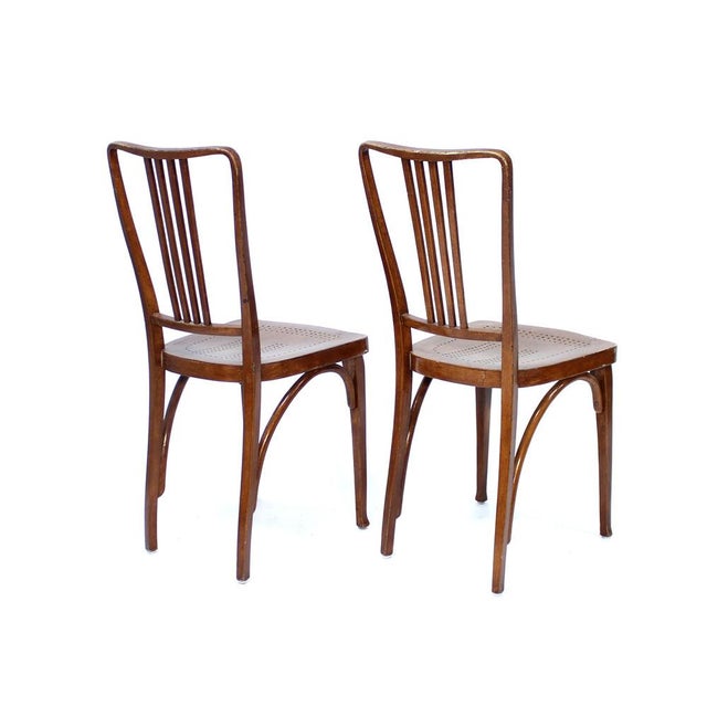 Brown Chairs from Thonet, Early 1900s, Set of 2 For Sale - Image 8 of 16