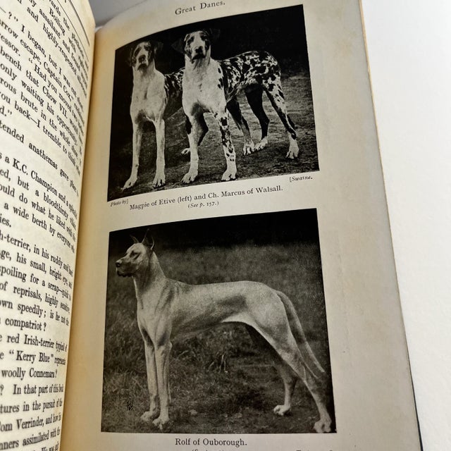 1924 Dogs & I Book For Sale In New York - Image 6 of 10