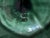 Majolica Oyster and Seafood Plate from Sarreguemines, France, 1940s For Sale - Image 4 of 8