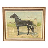 20th C Antique Dan Patch International Stock Food Company Framed Advertisement For Sale