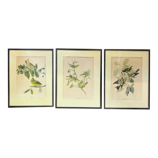 Early American, North American Bird Prints, Framed For Sale