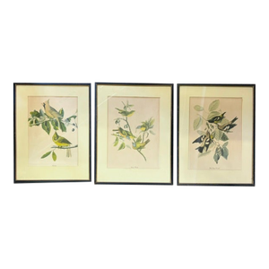 Early American, North American Bird Prints, Framed