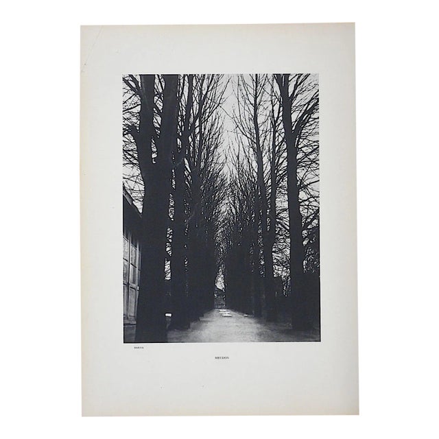 Vintage Heliogravure Photo By Brassai-Verve-Paris-1939 For Sale