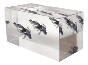 DWM | MALOOS Lucite Blue Fish Decorative Paper Weight, Made in the Usa