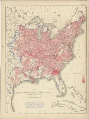 Antique Chart of the Us Enteric, Cerebro-Spinal, Typhus Deaths, 1874