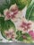 3 Pcs in Stock- 24” Large Tropical Hawaiian Orchid Design in and Outdoors Pillow by Australian Company Thread Candy For Sale - Image 4 of 6