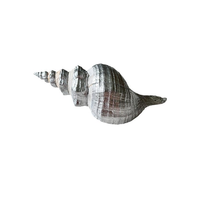 Shell Oversized 14” Silver Leaf Horse Conch Shell Sculpture – Natural Coastal Object, Hand-Finished Organic Luxe Decor For Sale - Image 7 of 7