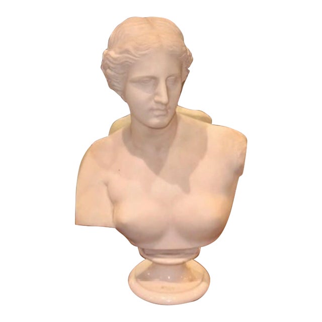 19th Century French Carved Bust of Diana For Sale