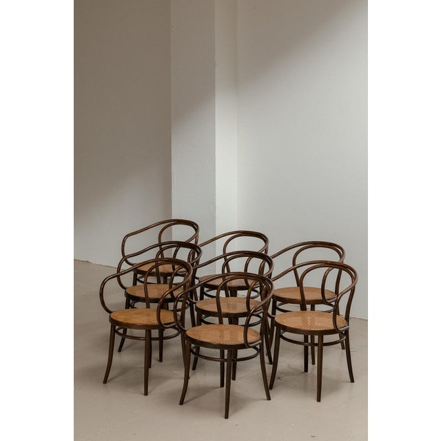 Model 209 Dining Chairs from Thonet, 1960s, Set of 6 For Sale - Image 11 of 13