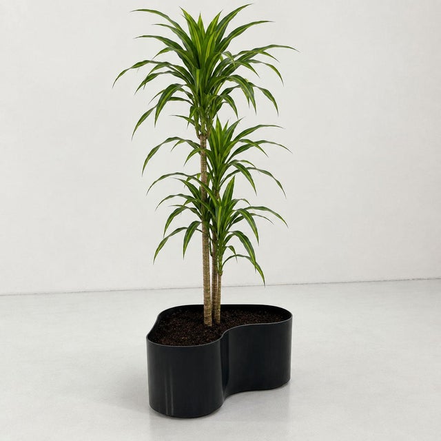 1970s Wavy Crescendo Planter on Wheels by Isao Hosoe for Bilumen, 1970s For Sale - Image 5 of 8