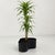 1970s Wavy Crescendo Planter on Wheels by Isao Hosoe for Bilumen, 1970s For Sale - Image 5 of 8