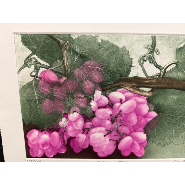 G H Rothe Grapes II Art Original Mezzotint Etching, Mint Condition For Sale In Denver - Image 6 of 7