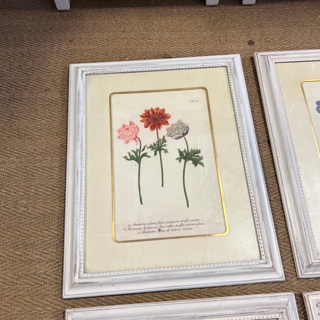 Late 20th Century Late 20th Century Set of 4 Botanical Prints, Framed For Sale - Image 5 of 12