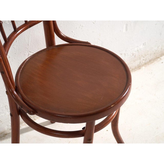 Bentwood Chairs in the style of Thonet, Central Europe, 1930, Set of 4 For Sale - Image 16 of 17