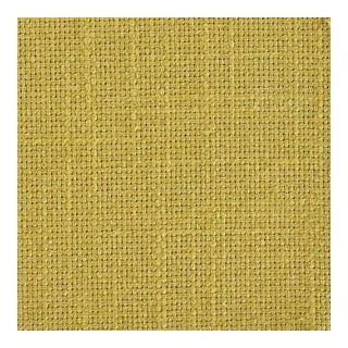 Sanderson Tuscany II Fabric in Olive - a Sample For Sale