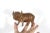 Mid-Century Modern Vintage Carved Water Buffalo Teak Wood Bull Sculpture For Sale - Image 3 of 7