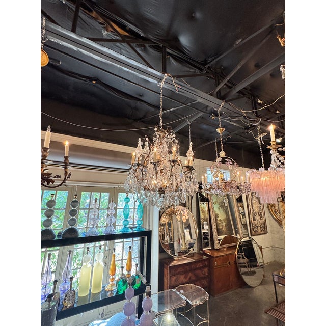 19th C. French Louis XV Bronze and Crystal Chandelier For Sale - Image 10 of 10