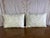 A pair of serene and sophisticated custom printed lumbar pillows that capture the ethereal charm of Swedish Gustavian...