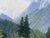 Forest Green Paul Schuler, Croda Rossa d'Ampezzo, 1920s, Oil Painting on Canvas, Framed For Sale - Image 8 of 18