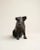 Traditional Vintage Cast Iron Pig Coin Bank Doorstop Sculpture For Sale - Image 3 of 4