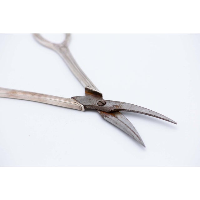 Silver Scissors with Raised Handles, in Very Good conditions. Designed before 1890 This piece has an attribution mark, I...