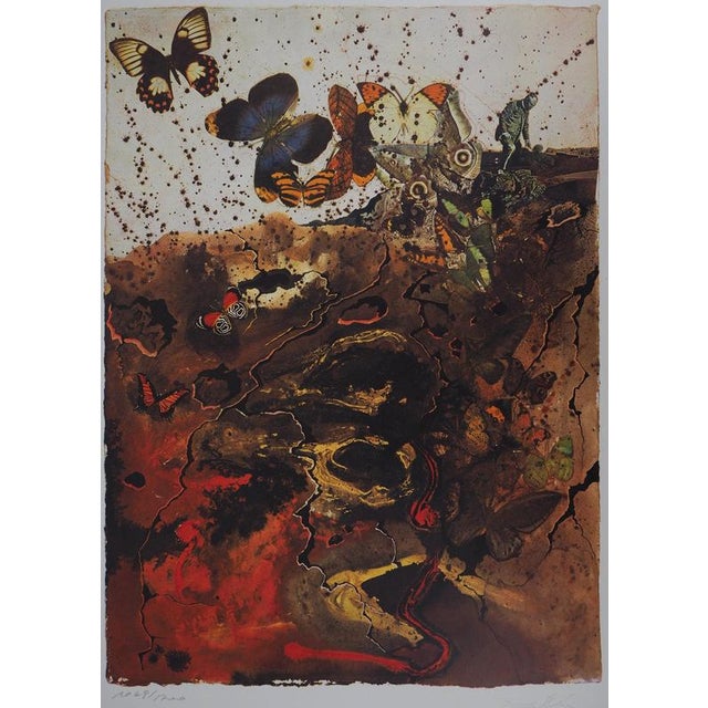 Salvador Dali, Auvergne, 1969, Lithograph For Sale - Image 8 of 8
