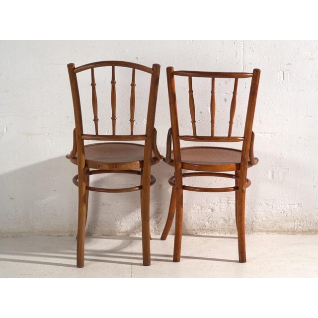 Brown Bentwood Chairs in the style of Thonet, Central Europe, 1930, Set of 4 For Sale - Image 8 of 18