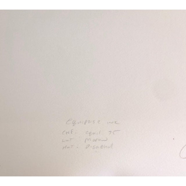 2000 - 2009 Jack Butler, Large Vintage Photo Print Digital Photograph Some People of Kuwait, Arabic Woman, 2000 For Sale - Image 5 of 11